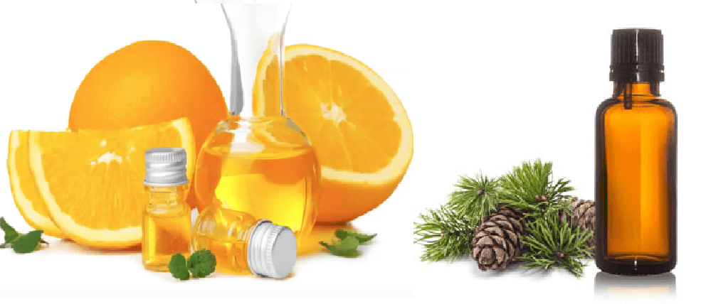 Proč nahrazuji terpentýn, pomerančovým olejem