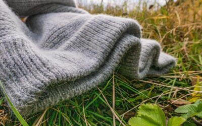 Vlna – materiál, který se přizpůsobil době i počasí