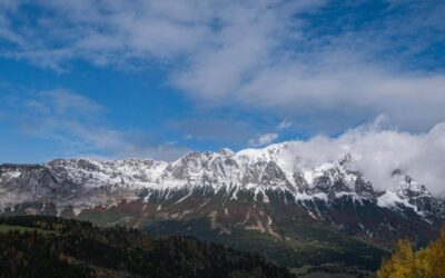 Vánoční otevírací doba (2025)