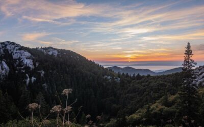 Poděkování za rok 2025