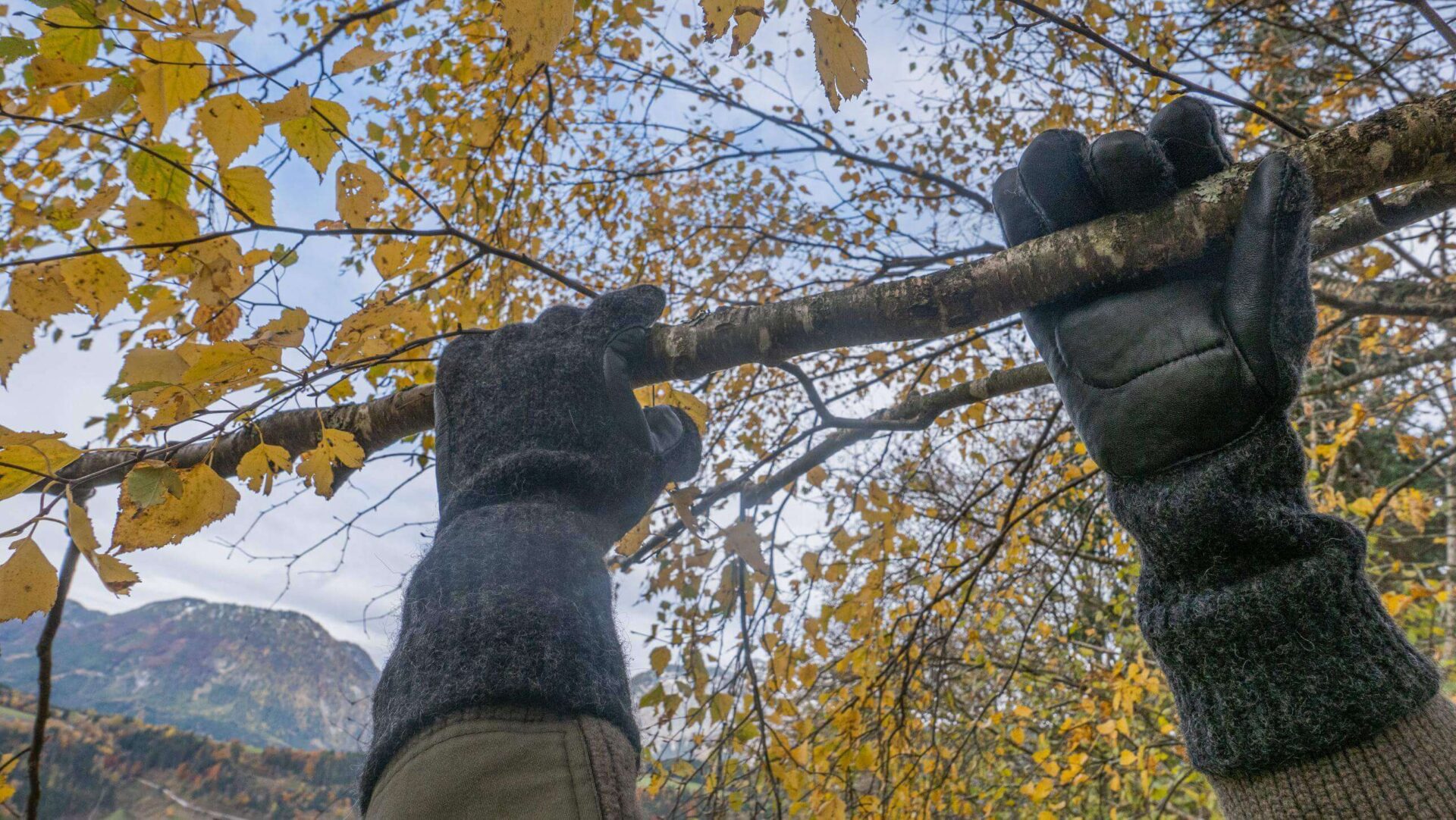 Vlněné prstové rukavice Dachstein s kůží - Obrázek 4
