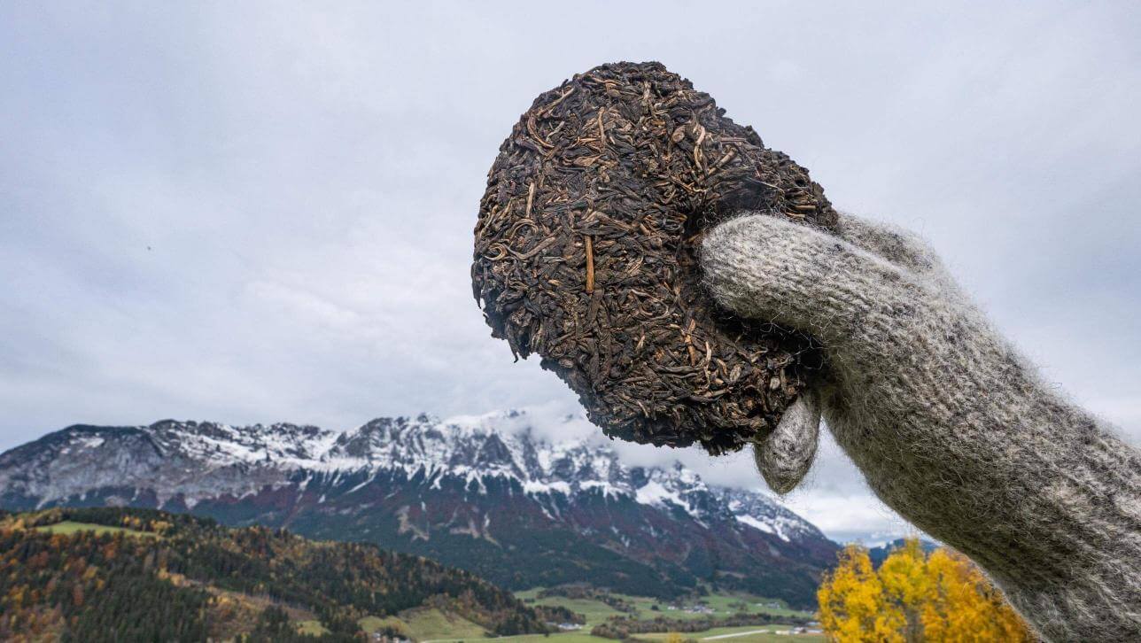 Vlněné prstové rukavice Dachstein - Obrázek 4