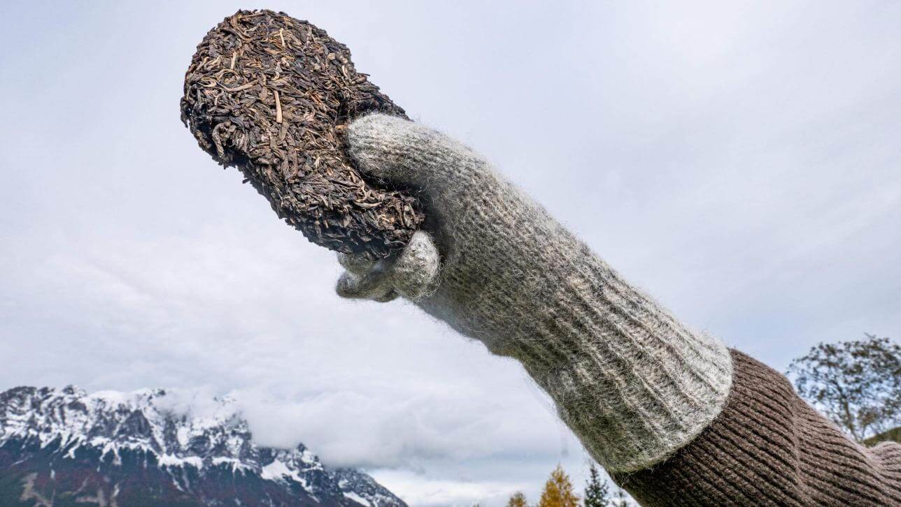 Vlněné prstové rukavice Dachstein - Obrázek 3